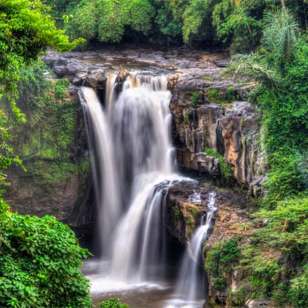 Bali Ubud Waterfall Tour