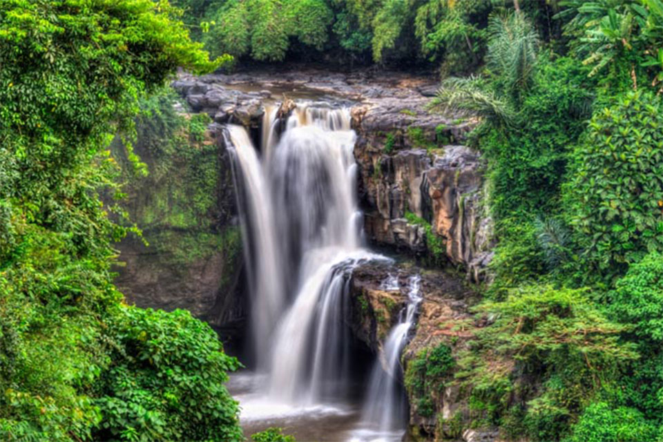 Bali Ubud Waterfall Tour